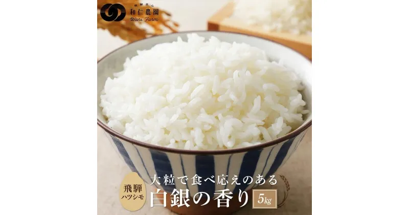 【ふるさと納税】【令和6年度産 新米】大粒で食べ応えのある飛騨ハツシモ「白銀の香り」5kg | 米 お米 白米 おいしい ごはん 大粒 飛騨高山 株式会社和仁農園 MF001 | お米 こめ 白米 食品 人気 おすすめ 送料無料