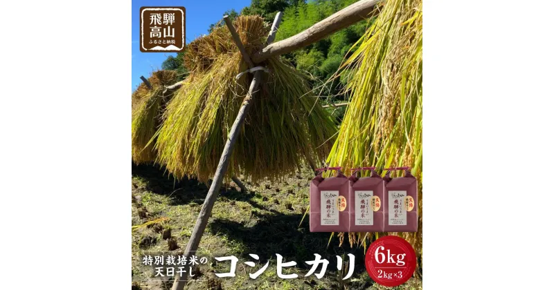 【ふるさと納税】【令和6年産 新米】天日干し コシヒカリ 白米 6kg（2kg×3）飛騨産 特別栽培米 | こしひかり 精米したて お米 節減農薬米 のし対応 飛騨高山 ファームジネンいいむら GG004