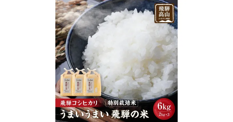 【ふるさと納税】【令和6年産 新米】飛騨コシヒカリ 白米 6kg（2kg×3） 特別栽培米 うまいうまい飛騨の米 | こしひかり お米 精米したて 節減農薬米 のし対応 飛騨高山 ファームジネンいいむら GG005