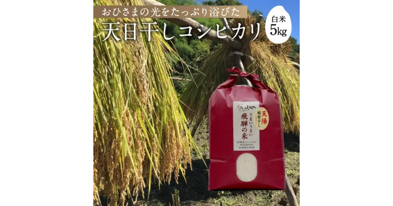 【ふるさと納税】【令和6年産 新米】天日干し コシヒカリ 白米 5kg | 飛騨産 こしひかり お米 特別栽培米 飛騨高山 ファームジネンいいむら GG001