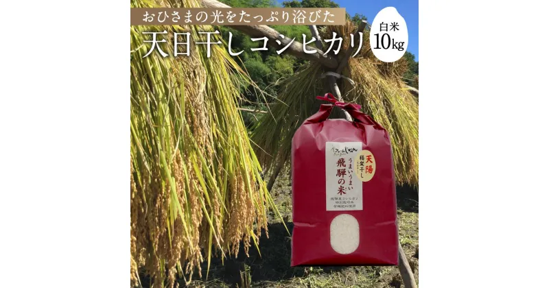 【ふるさと納税】【令和6年産 新米】 天日干し コシヒカリ 白米 10kg | 飛騨産 こしひかり お米 特別栽培米 飛騨高山 ファームジネンいいむら GG002