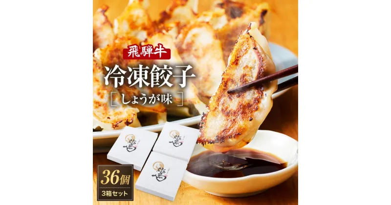 【ふるさと納税】飛騨牛冷凍餃子 3箱セット（しょうが味）| 餃子の合計はたっぷり36個！ おいしく焼ける調理説明書付き 餃子 飛騨牛 おいしい 簡単 人気 飛騨高山 餃子工房らん NL002 | 食品 おかず 加工食品 中華総菜 人気 おすすめ 送料無料