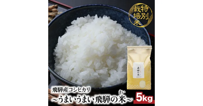 【ふるさと納税】【令和6年産 新米】 飛騨産コシヒカリ 「うまいうまい飛騨の米」 白米 5kg | こしひかり 飛騨産 精米 お米 特別栽培米 飛騨高山 ファームジネンいいむら GG015