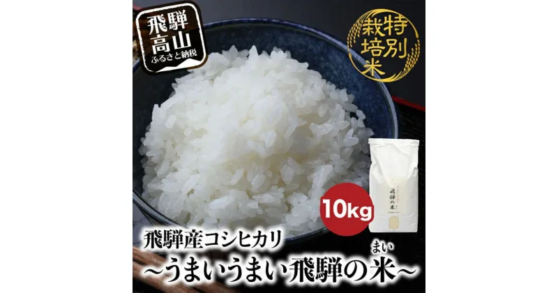 【ふるさと納税】【令和6年産 新米】 飛騨産コシヒカリ白米 「うまいうまい飛騨の米」 白米 10kg | こしひかり 飛騨産 精米 お米 特別栽培米 飛騨高山 ファームジネンいいむら GG016