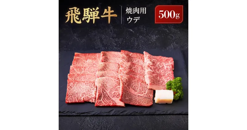 【ふるさと納税】飛騨牛 焼肉用 ウデ 500g | 黒毛和牛 ブランド和牛 BBQ 肉料理 旨味 高山米穀協業組合 FA007 | 飛騨牛 肉 お肉 にく 食品 高山市産 人気 おすすめ 送料無料 ギフト