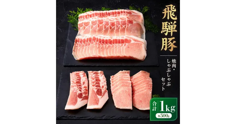 【ふるさと納税】飛騨豚 焼肉・しゃぶしゃぶセット 合計1kg ｜ ロース BBQ 鍋 豚肉料理 高山米穀協業組合 FA010 | 肉 お肉 にく 食品 高山市産 人気 おすすめ 送料無料 ギフト