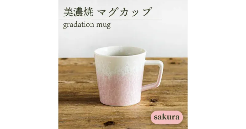 【ふるさと納税】＼美しく咲いた結晶釉のうつわ／【美濃焼】マグカップ gradation mug 『sakura』 器 コップ 食器 多治見市/柴田商店 [TAL005]