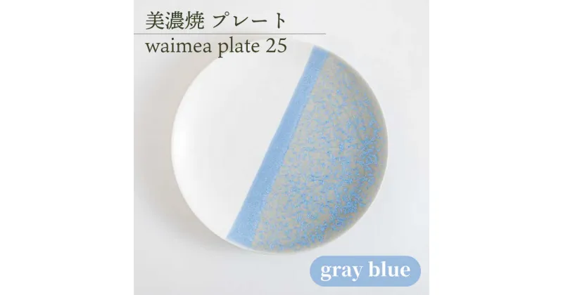 【ふるさと納税】＼美しく咲いた結晶釉のうつわ／【美濃焼】25cmプレート waimea plate 25 『gray blue』 器 食器 皿 多治見市/柴田商店 [TAL011]