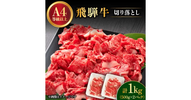 【ふるさと納税】 飛騨牛 切り落とし 1kg ( 500g × 2P ) 和牛 ブランド牛 国産 多治見市/肉の丸長 [TAZ005]