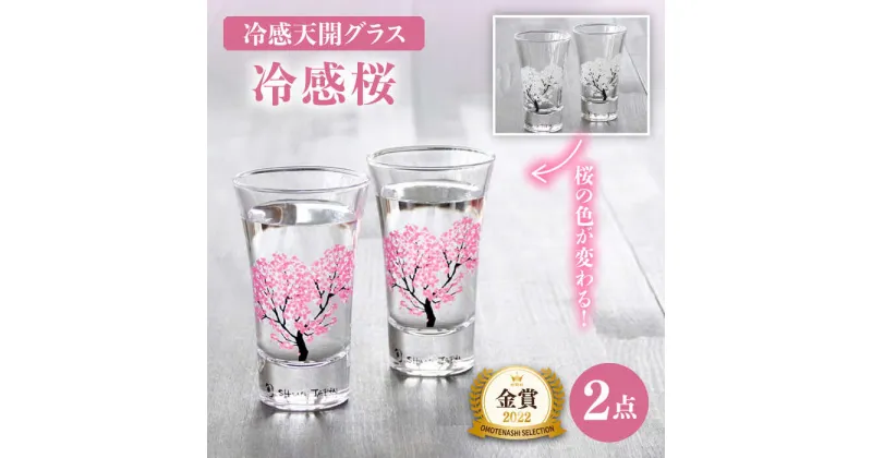 【ふるさと納税】【温度で変化する】 グラス天開ぺアセット 『冷感桜』【丸モ高木陶器】≪多治見市≫ コップ ビールグラス 食器 [TBA001]