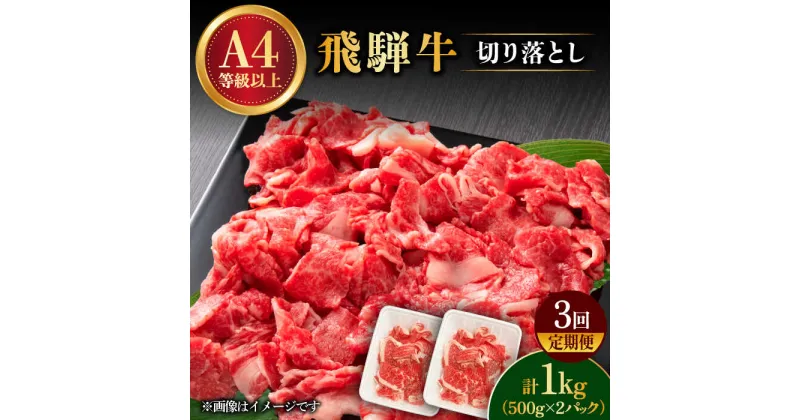 【ふるさと納税】【 3回 定期便 】【 飛騨牛 】 切り落とし 1kg × 3回 ( 計 3kg ) 和牛 ブランド牛 国産 多治見市/肉の丸長 [TAZ015]