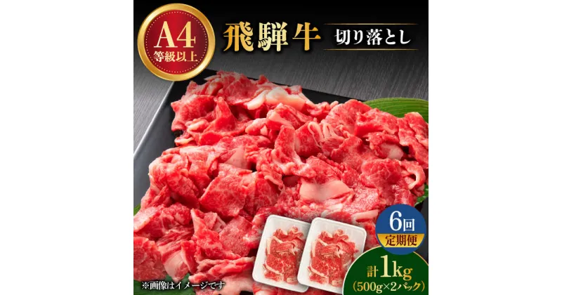 【ふるさと納税】【 6回 定期便 】【 飛騨牛 】 切り落とし 1kg × 6回 ( 計 6kg ) 和牛 ブランド牛 国産 多治見市/肉の丸長 [TAZ016]