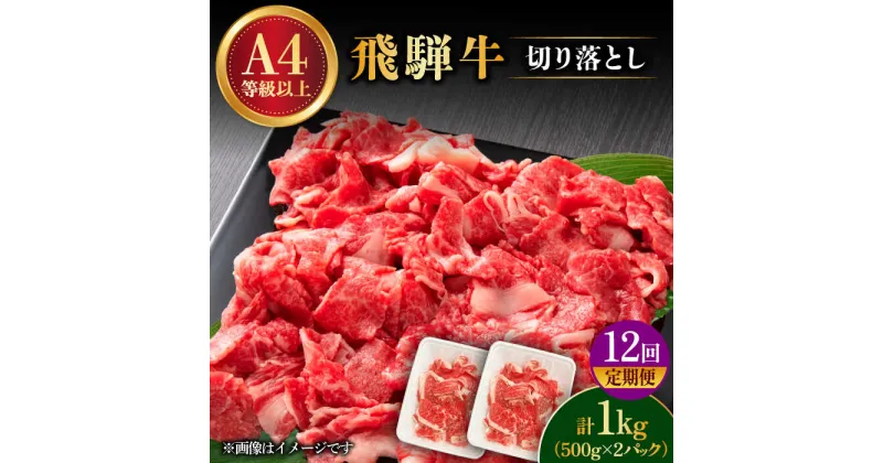 【ふるさと納税】【 12回 定期便 】【 飛騨牛 】 切り落とし 1kg × 12回 ( 計 12kg ) 和牛 ブランド牛 国産 多治見市/肉の丸長 [TAZ017]