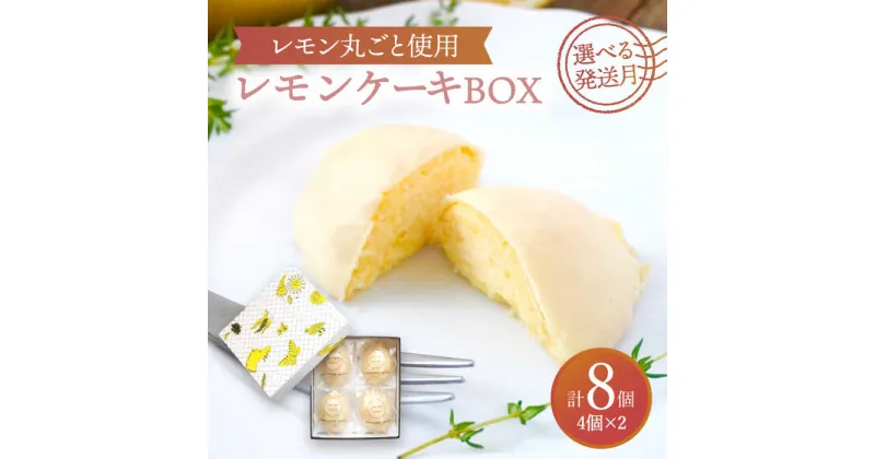 【ふるさと納税】【選べる発送月】 レモンケーキBOX（4個入）2箱セット 洋菓子 焼菓子 ケーキ 多治見市/ルポ [TBN007]