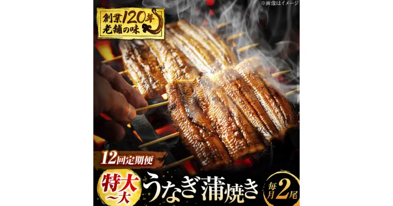 【ふるさと納税】【12回定期便】 うなぎ 蒲焼き 2尾 × 12回 計24尾 鰻 ウナギ 丑の日 多治見市/澤千 [TDD007]