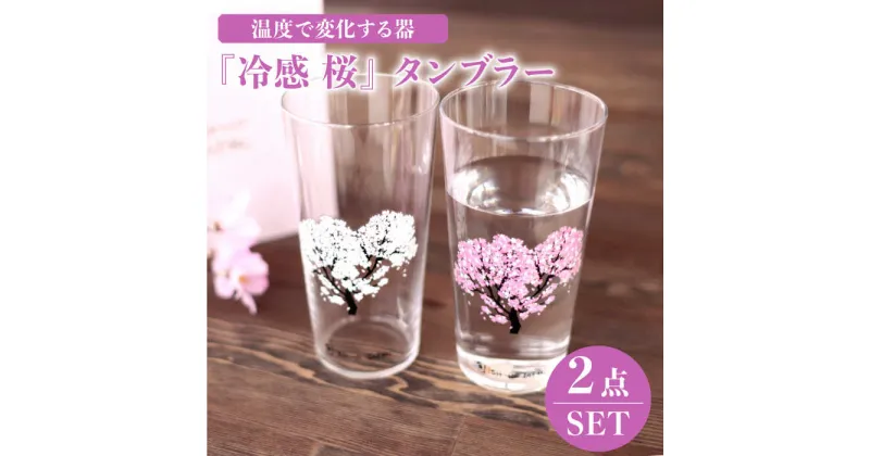 【ふるさと納税】温度で変化する器 タンブラー ペアセット 『冷感 桜』【丸モ高木陶器】≪多治見市≫ 食器 [TBA134]