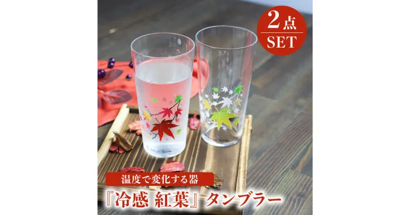 【ふるさと納税】温度で変化する器 タンブラー ペアセット 『冷感 紅葉』【丸モ高木陶器】≪多治見市≫ 食器 [TBA136]