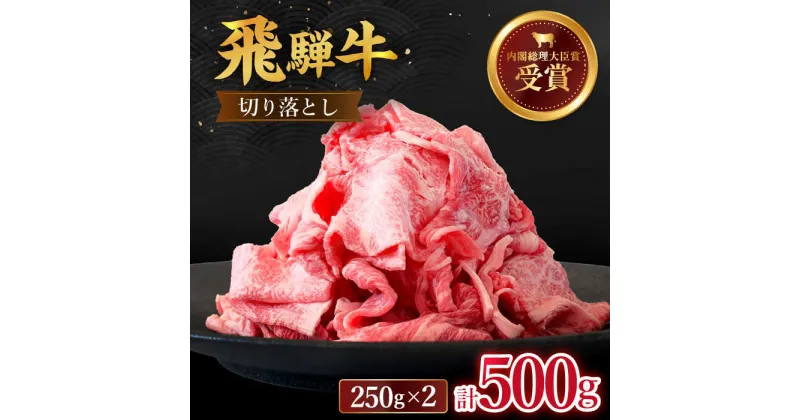 【ふるさと納税】 飛騨牛 切り落とし 500g ( 250g × 2 ) 牛肉 国産 ブランド牛 和牛 多治見市/肉のひぐち [TDC009]