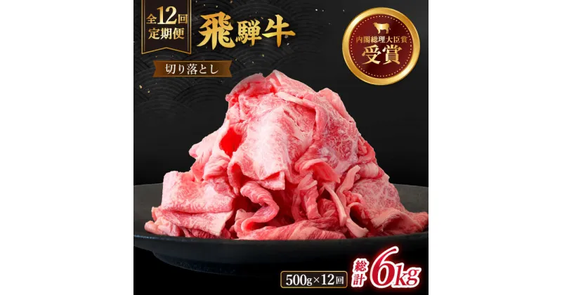 【ふるさと納税】【 12回 定期便 】【 飛騨牛 】切り落とし 総計 6kg ( 1回あたり ) 500g ( 250g × 2 ) 牛肉 国産 ブランド牛 和牛 多治見市/肉のひぐち [TDC012]