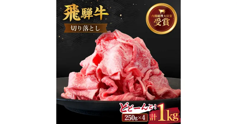 【ふるさと納税】 飛騨牛 切り落とし 1kg ( 250g × 4 ) 牛肉 国産 ブランド牛 和牛 多治見市/肉のひぐち [TDC013]