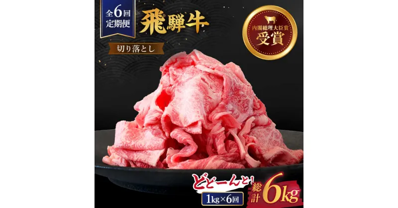 【ふるさと納税】 【6回定期便】【飛騨牛】切り落とし 総計6kg 〈1回あたり〉1kg （250g×4） 国産 ブランド牛 和牛 多治見市/肉のひぐち [TDC015]