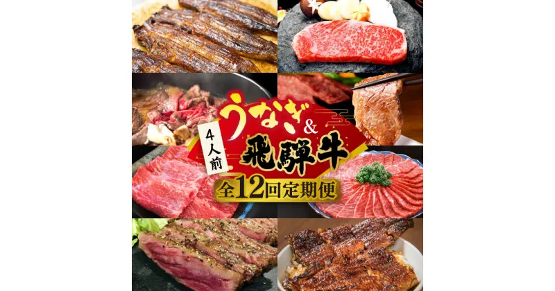 【ふるさと納税】【全12回定期便】うなぎと飛騨牛 スタミナ”超”がつん！ 贅沢 うな牛 定期便 4人前 ステーキ 鰻 高級 / 多治見市ふるさと納税 [TDA010]