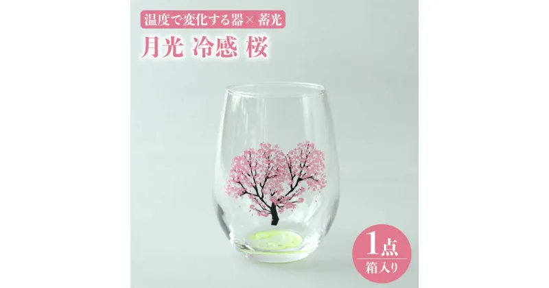 【ふるさと納税】温度で変化する器 × 蓄光『月光 冷感 桜』【丸モ高木陶器】≪多治見市≫ 食器 [TBA151]