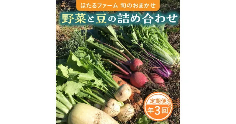 【ふるさと納税】※数量限定※【3回定期便】 野菜と豆の詰め合わせ セット 農家直送 旬野菜 おまかせ 多治見市 / ほたるファーム [TEB001]