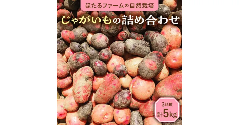 【ふるさと納税】※数量限定※【先行予約】自然栽培のじゃがいも 3種 約5kg 農家直送 芋 詰め合わせ 多治見市 / ほたるファーム [TEB002]