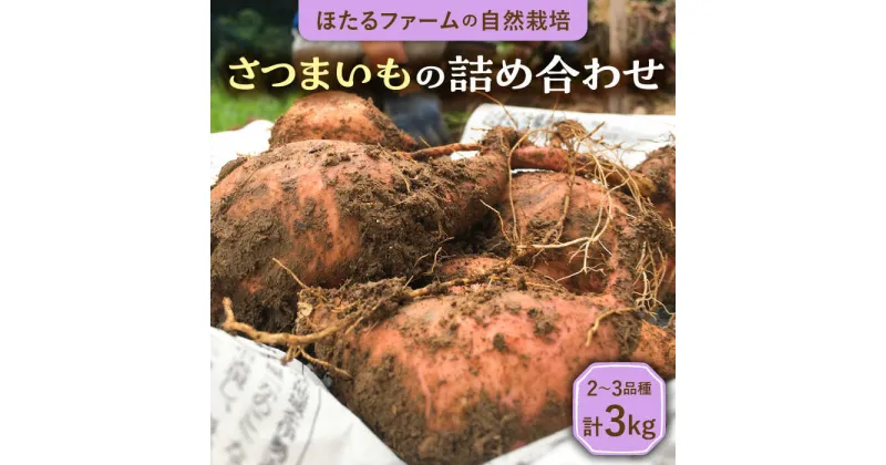 【ふるさと納税】※数量限定※【先行予約】自然栽培のさつまいも 約3kg 2〜3品種 農家直送 芋 詰め合わせ 多治見市 / ほたるファーム [TEB003]