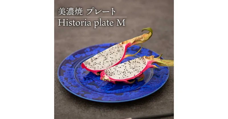 【ふるさと納税】【美濃焼】 プレートM Historia plate M 食器 皿 うつわ 多治見市/柴田商店 [TAL064]