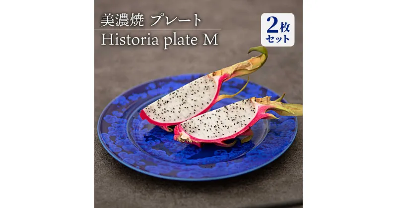 【ふるさと納税】【美濃焼】 プレートM 2枚セット Historia plate M pair set 食器 皿 ペア 多治見市/柴田商店 [TAL065]