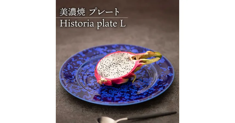 【ふるさと納税】【美濃焼】 プレートL Historia plate L 食器亜器 うつわ 多治見市/柴田商店 [TAL066]