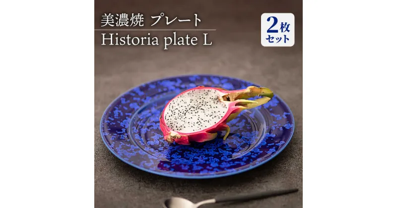 【ふるさと納税】【美濃焼】 プレートL 2枚セット Historia plate L pair set 食器 皿 ペア 多治見市/柴田商店 [TAL067]