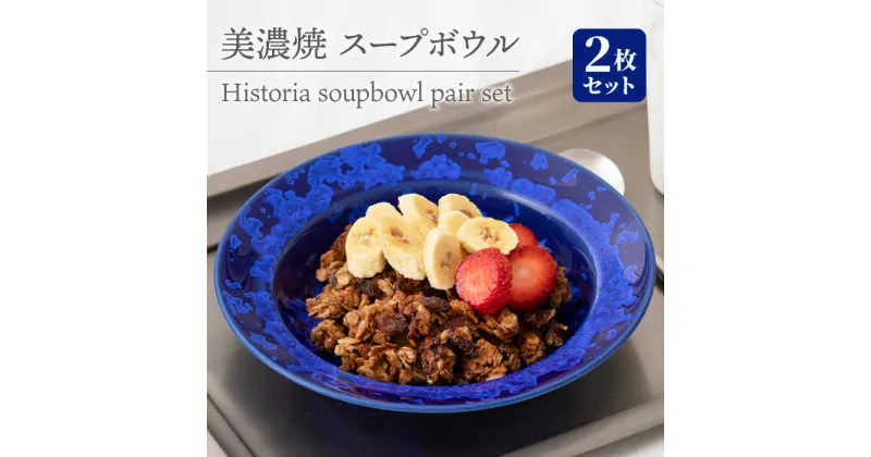 【ふるさと納税】【美濃焼】 スープボウル 2枚セット Historia soupbowl pair set 食器 深皿 ペア 多治見市/柴田商店 [TAL069]