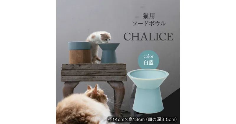 【ふるさと納税】【美濃焼】 ネコ用 フードボウル CHALICE / food bowl （ shiraai 白藍 ） / &CAT フードボウル ペット用 ペット用品 多治見市/アペックスハート [TAB011]