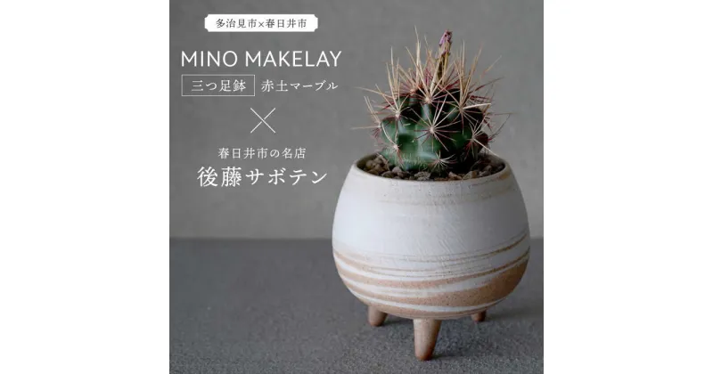 【ふるさと納税】多治見市×春日井市コラボ 【美濃焼】 MINO MAKELAY 三つ足鉢 赤土マーブル × 【日本有数のサボテンの生産地】 春日井市の名店 後藤サボテン 【井澤コーポレーション】 [TBP161]