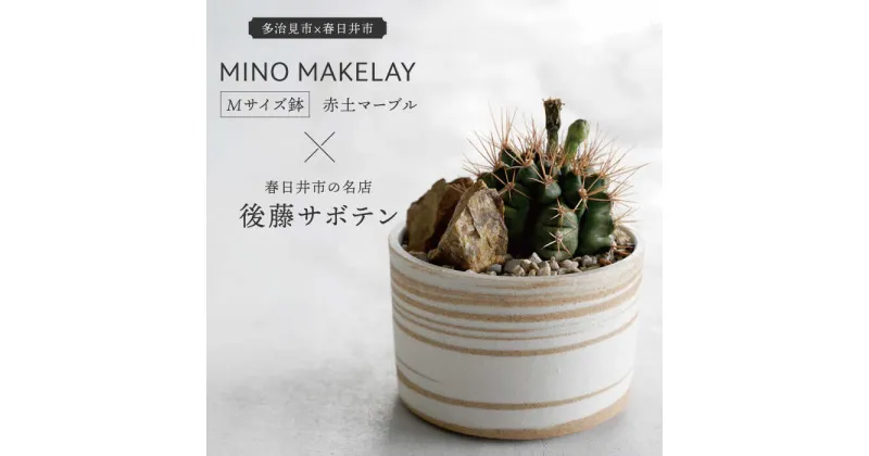 【ふるさと納税】多治見市×春日井市コラボ【美濃焼】 MINO MAKELAY Mサイズ 鉢 赤土マーブル × 【日本有数のサボテンの生産地】 春日井市の名店 後藤サボテン 【井澤コーポレーション】 [TBP166]