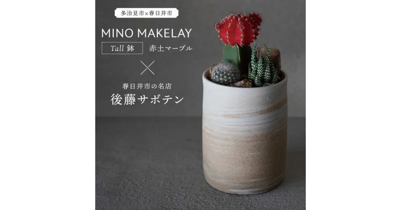 【ふるさと納税】多治見市×春日井市コラボ【美濃焼】 MINO MAKELAY Tall 鉢 赤土マーブル × 【日本有数のサボテンの生産地】 春日井市の名店 後藤サボテン 【井澤コーポレーション】 [TBP168]