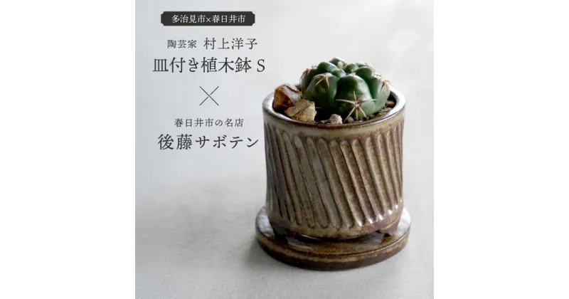 【ふるさと納税】多治見市×春日井市コラボ 【美濃焼】 陶芸家「村上洋子」 皿付き植木鉢 S × 【日本有数のサボテンの生産地】 春日井市の名店 後藤サボテン 【井澤コーポレーション】[TBP169]