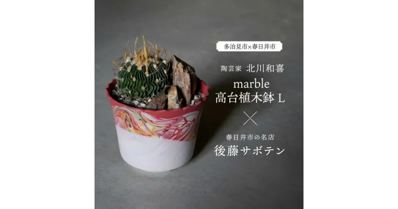 【ふるさと納税】多治見市×春日井市コラボ 【美濃焼】 陶芸家「北川和喜」 marble 高台植木鉢 L × 【日本有数のサボテンの生産地】 春日井市の名店 後藤サボテン 【井澤コーポレーション】[TBP172]