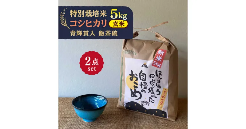 【ふるさと納税】先行予約 【令和6年産新米】 玄米 コシヒカリ 特別栽培米 （5kg） + 【美濃焼】 青輝貫入 飯茶碗 【山松加藤松治郎商店】 [TEU036]