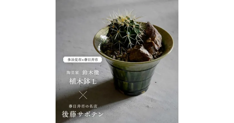 【ふるさと納税】多治見市×春日井市コラボ 【美濃焼】 陶芸家「鈴木徹」 植木鉢 L × 【日本有数のサボテンの生産地】 春日井市の名店 後藤サボテン 【井澤コーポレーション】[TBP178]