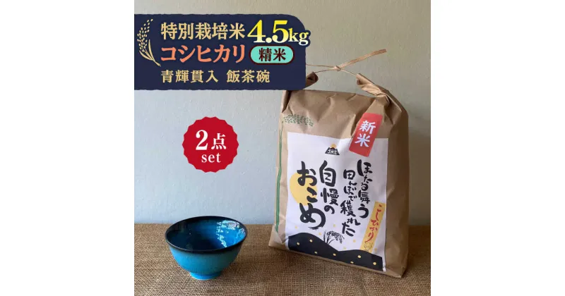 【ふるさと納税】先行予約 【令和6年産新米】 精米 コシヒカリ 特別栽培米 （4.5kg） + 【美濃焼】 青輝貫入 飯茶碗 【山松加藤松治郎商店】 [TEU035]