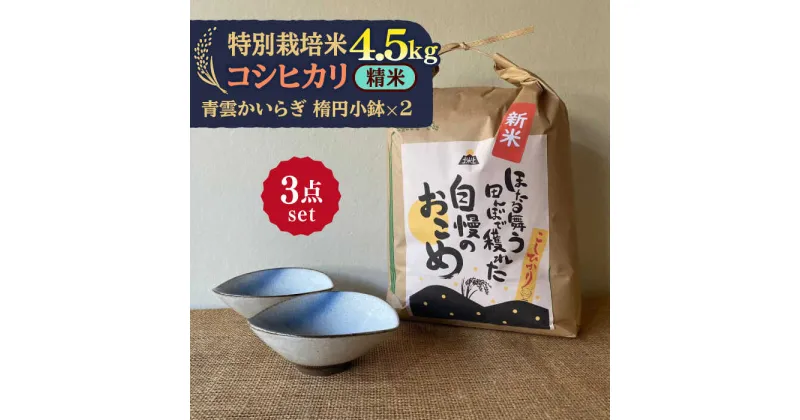 【ふるさと納税】先行予約 【令和6年産新米】 精米 コシヒカリ 特別栽培米 （4.5kg） + 【美濃焼】 青雲かいらぎ 楕円小鉢 （2点） 【山松加藤松治郎商店】 [TEU039]