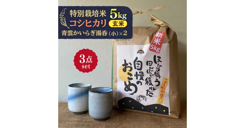 【ふるさと納税】先行予約 【令和6年産新米】 玄米 コシヒカリ 特別栽培米 （5kg） + 【美濃焼】 青雲かいらぎ 湯呑 小 （2個） 【山松加藤松治郎商店】 [TEU034]