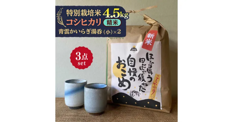 【ふるさと納税】先行予約 【令和6年産新米】 精米 コシヒカリ 特別栽培米 （4.5kg） + 【美濃焼】 青雲かいらぎ 湯呑 小 （2個） 【山松加藤松治郎商店】 [TEU033]