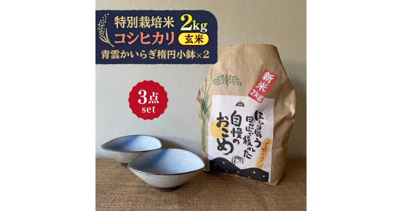 【ふるさと納税】先行予約 【令和6年産新米】 玄米 コシヒカリ 特別栽培米 （2kg） + 【美濃焼】 青雲かいらぎ 楕円小鉢 （2個） 【山松加藤松治郎商店】 [TEU038]