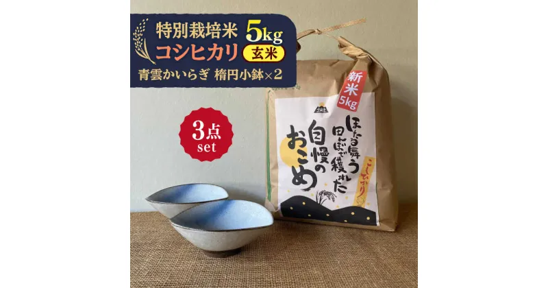 【ふるさと納税】先行予約 【令和6年産新米】 玄米 コシヒカリ 特別栽培米 （5kg） + 【美濃焼】 青雲かいらぎ 楕円小鉢 （2個） 【山松加藤松治郎商店】 [TEU040]