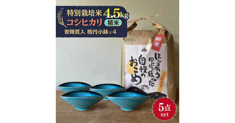 【ふるさと納税】先行予約 【令和6年産新米】 精米 コシヒカリ 特別栽培米 （4.5kg） + 【美濃焼】 青輝貫入 楕円小鉢 （4枚） 【山松加藤松治郎商店】 [TEU043]